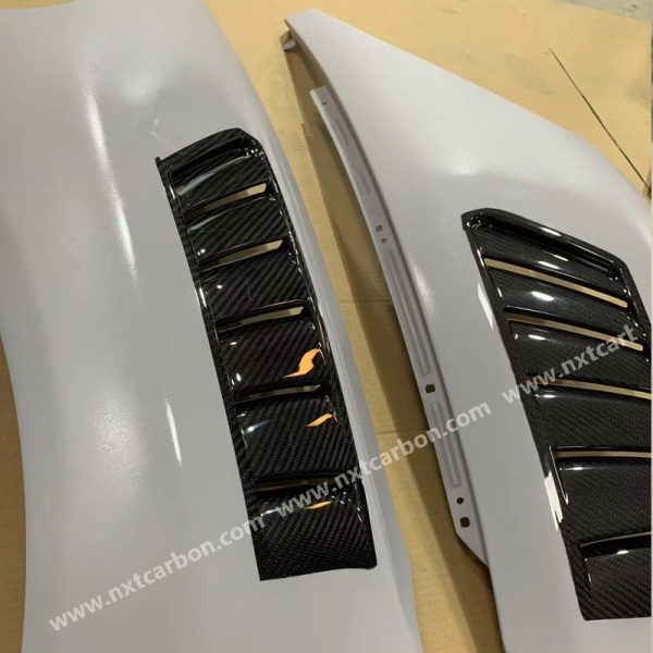 635 Mclaren 650S 675lt MSO Dry carbon Fender