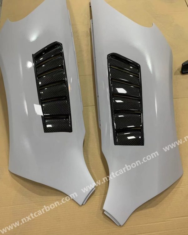 650-2 Mclaren 650S 675lt MSO Dry carbon Fender