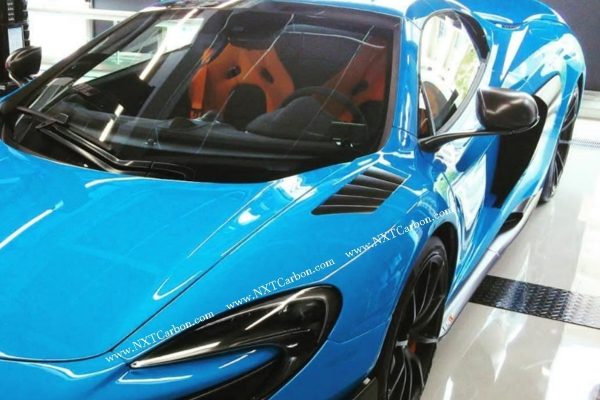 675fender Mclaren 650S 675lt MSO Dry carbon Fender