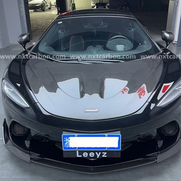 mclaren gt P1 HOOD
