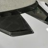 Lamborghini Revuelto Dry Carbon Fiber Hood Bonnet – Duke Racing Design