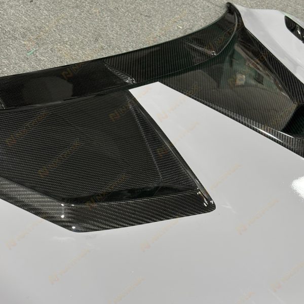 Lamborghini Revuelto Dry Carbon Fiber Hood Bonnet – Duke Racing Design